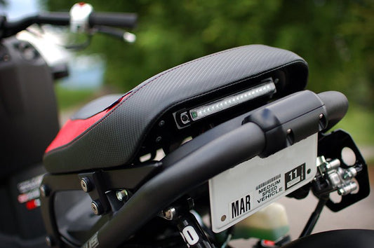 Ruckus dingleberry plate mount - Howling Moto