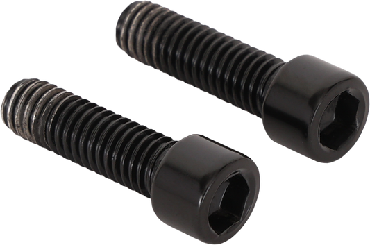 Black SEDONA 4/110 center cap screws M4x16, pack of 2, designed for wheel center caps and automotive applications.
