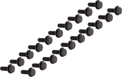 SEDONA Beadlock 5/16-inch bolt set cap screws in gloss black, pack of 20, durable hardware for wheel installation.