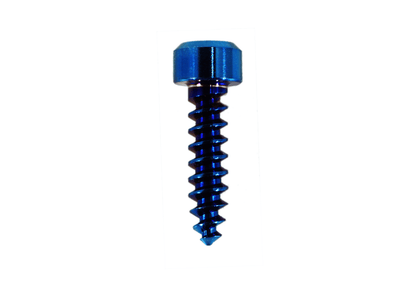 ZSPEC SHSC Coarse M4x16mm Fastener, Titanium Grade-5, per Each - Howling Moto