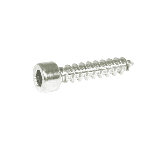 ZSPEC M5x25mm Coarse Socket-Head Socket Cap SHSC Fasteners, Stainless, 10-Pack - Howling Moto