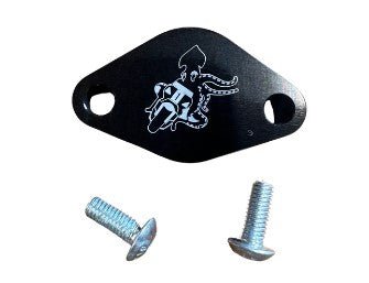 TCR Oil Block Off Plate YSR - Howling Moto