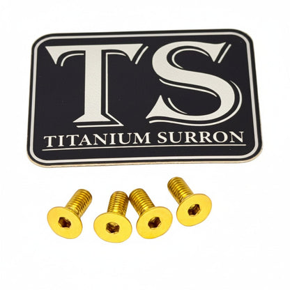 Titanium Baja Designs Headlight Cover Plate Bolts (4)