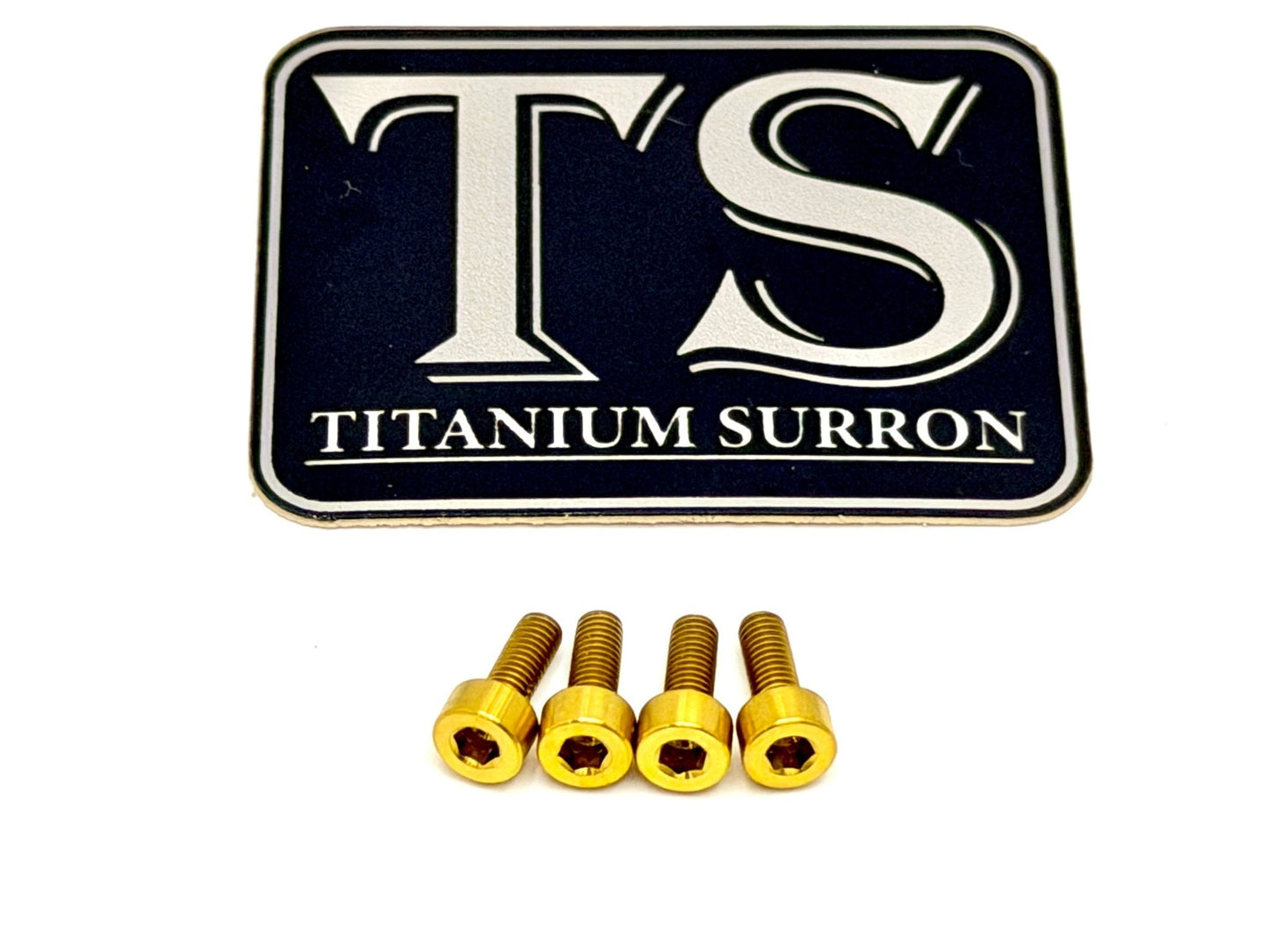 Titanium Baja Designs Headlight Cover Plate Bolts (4)