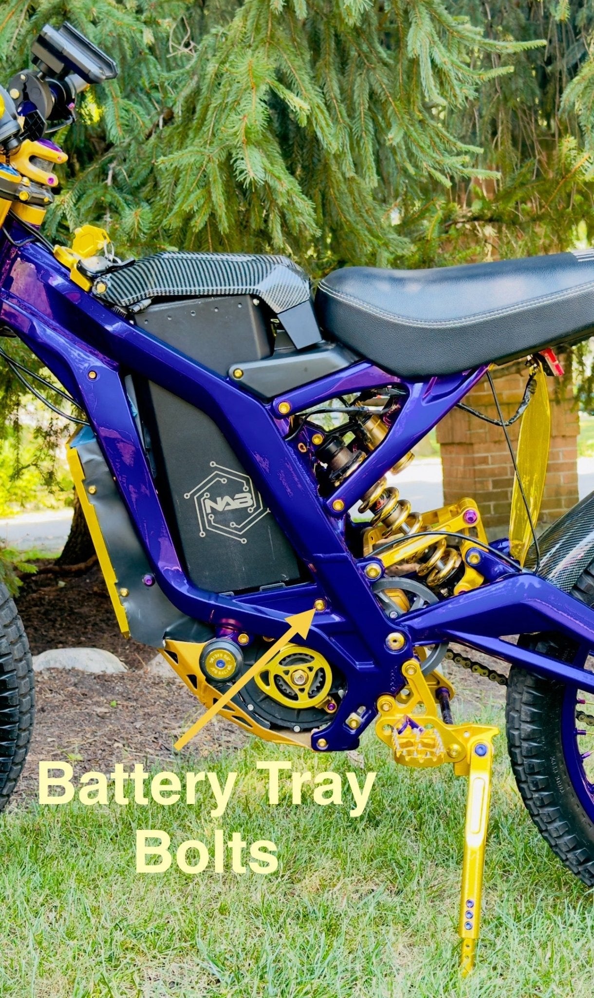 Titanium Battery Tray Bolts (Set of Two) Surron, Segway, E-Ride Pro - Howling Moto