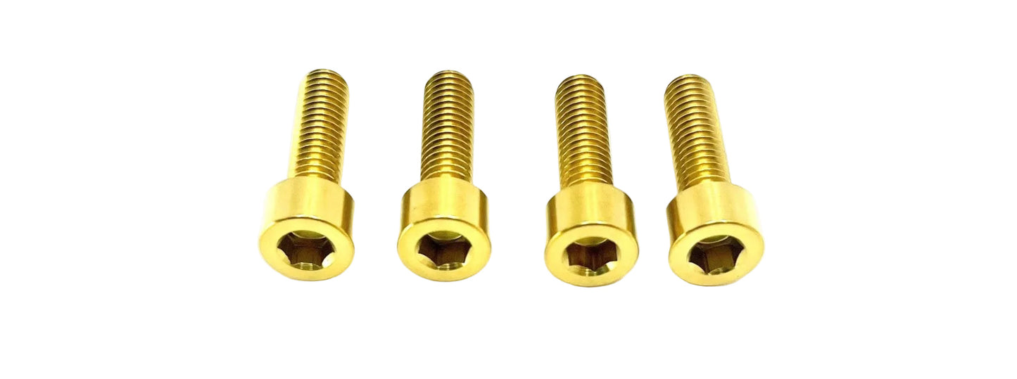 Titanium Formula E-Moto Brake Handle-Mount Bolts - Howling Moto
