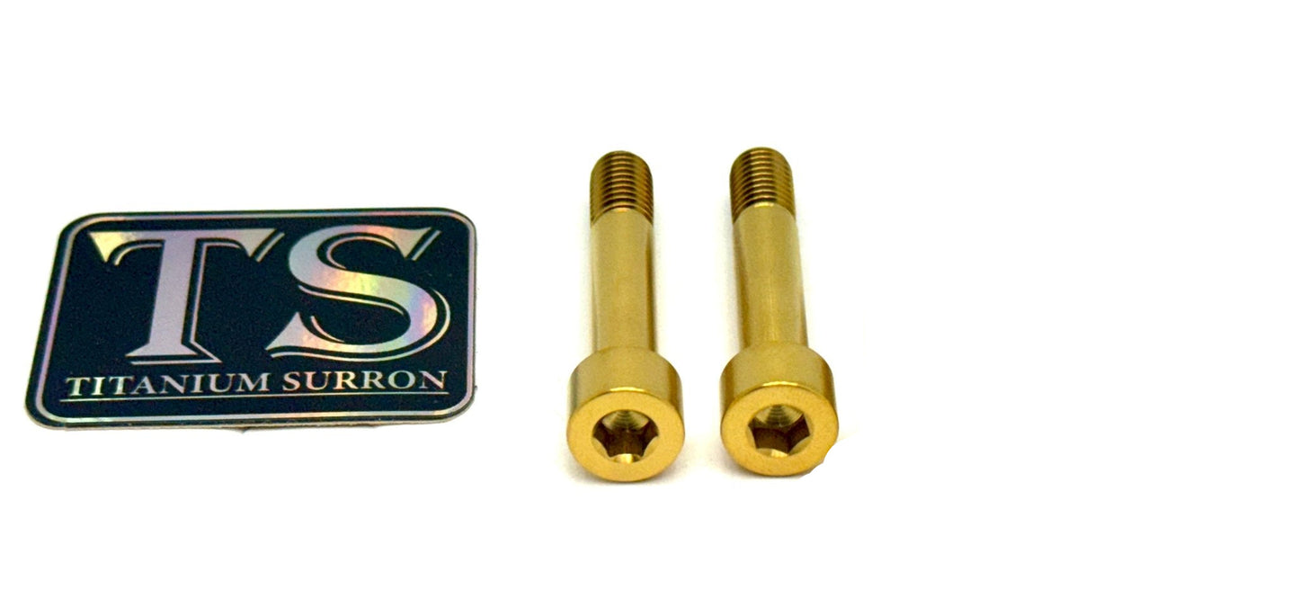 Titanium Hardware for AstroWorks Shift Lock (Set of Two) - Howling Moto