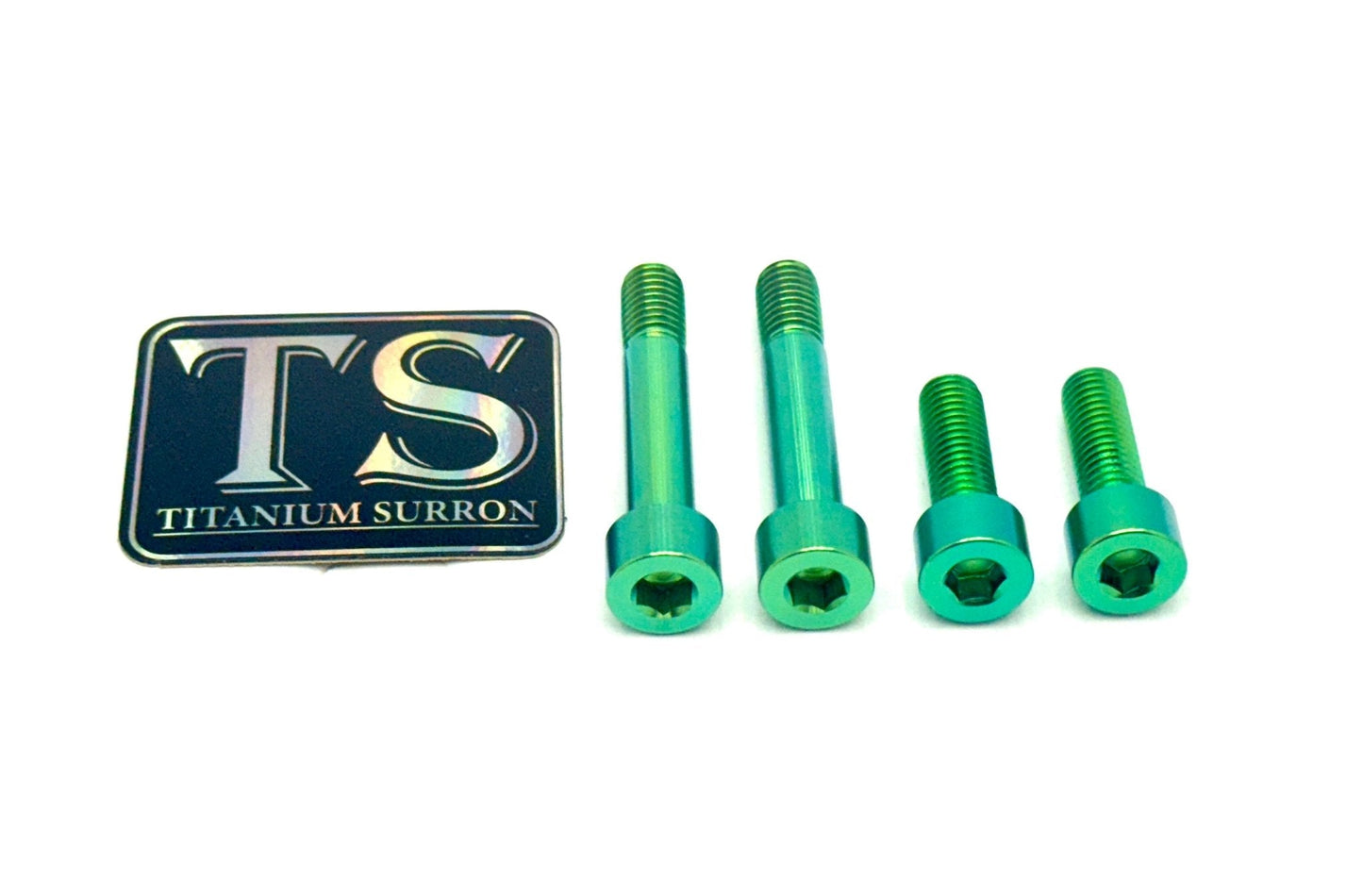 Titanium Motor Bolts - E-Ride Pro ERP SS and S