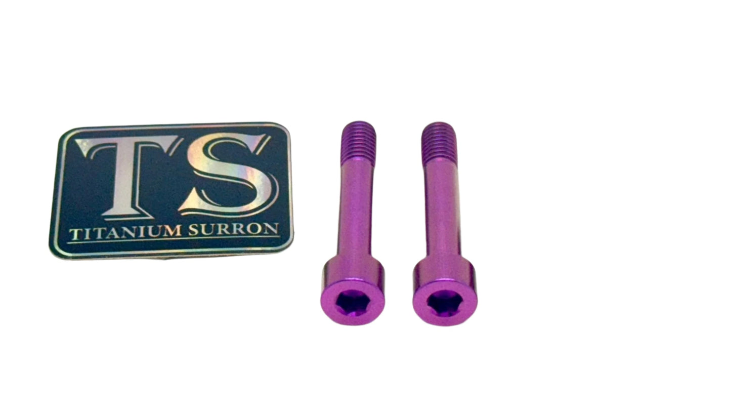 Titanium Hardware for AstroWorks Shift Lock (Set of Two) - Howling Moto