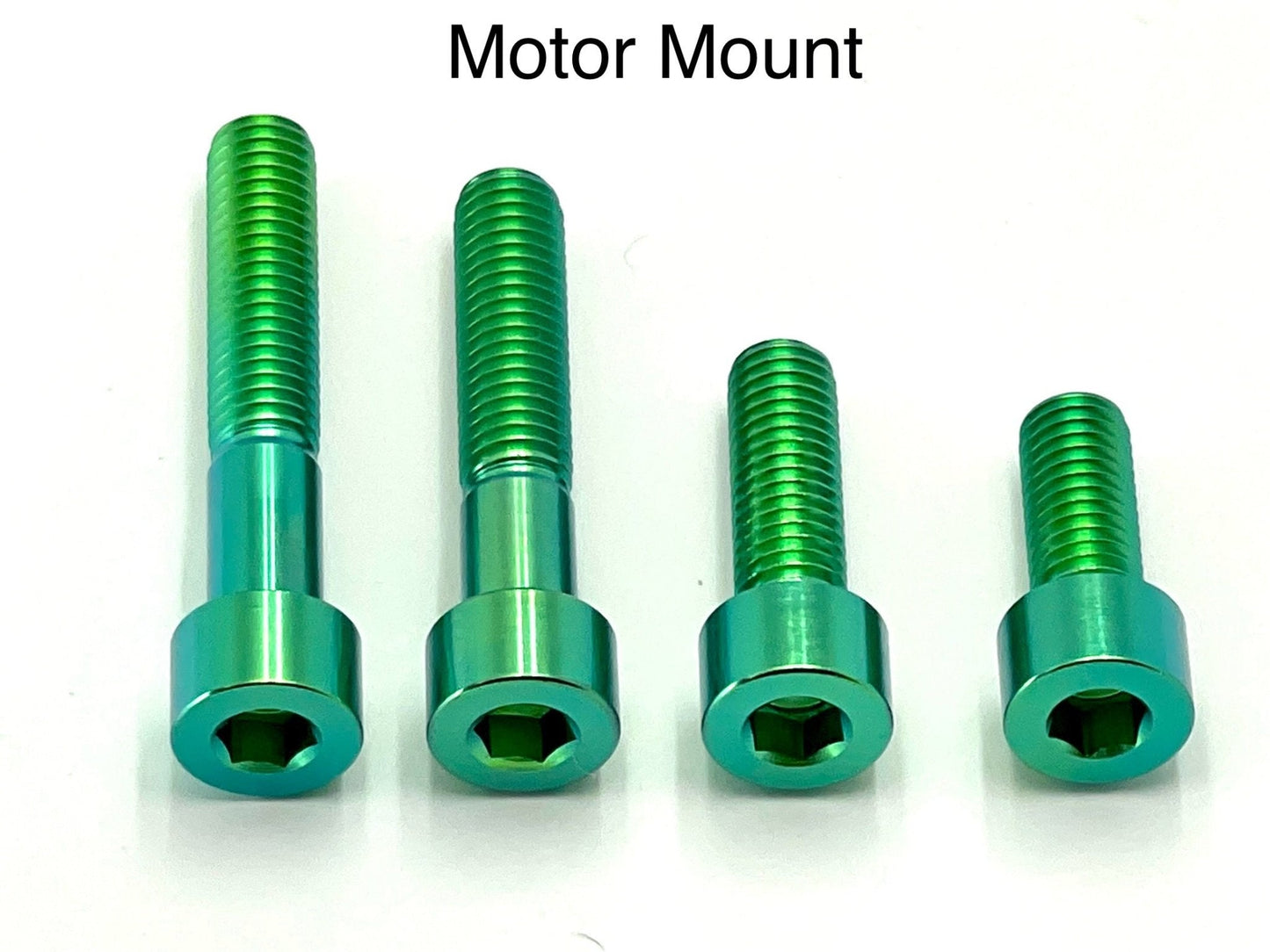 Titanium Motor Bolts - Surron LBX