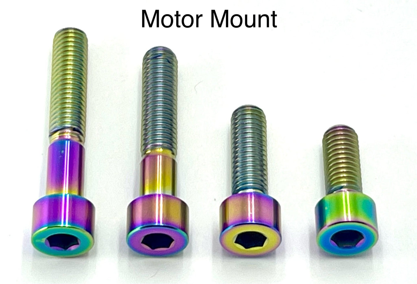 Titanium Motor Bolts - Surron LBX