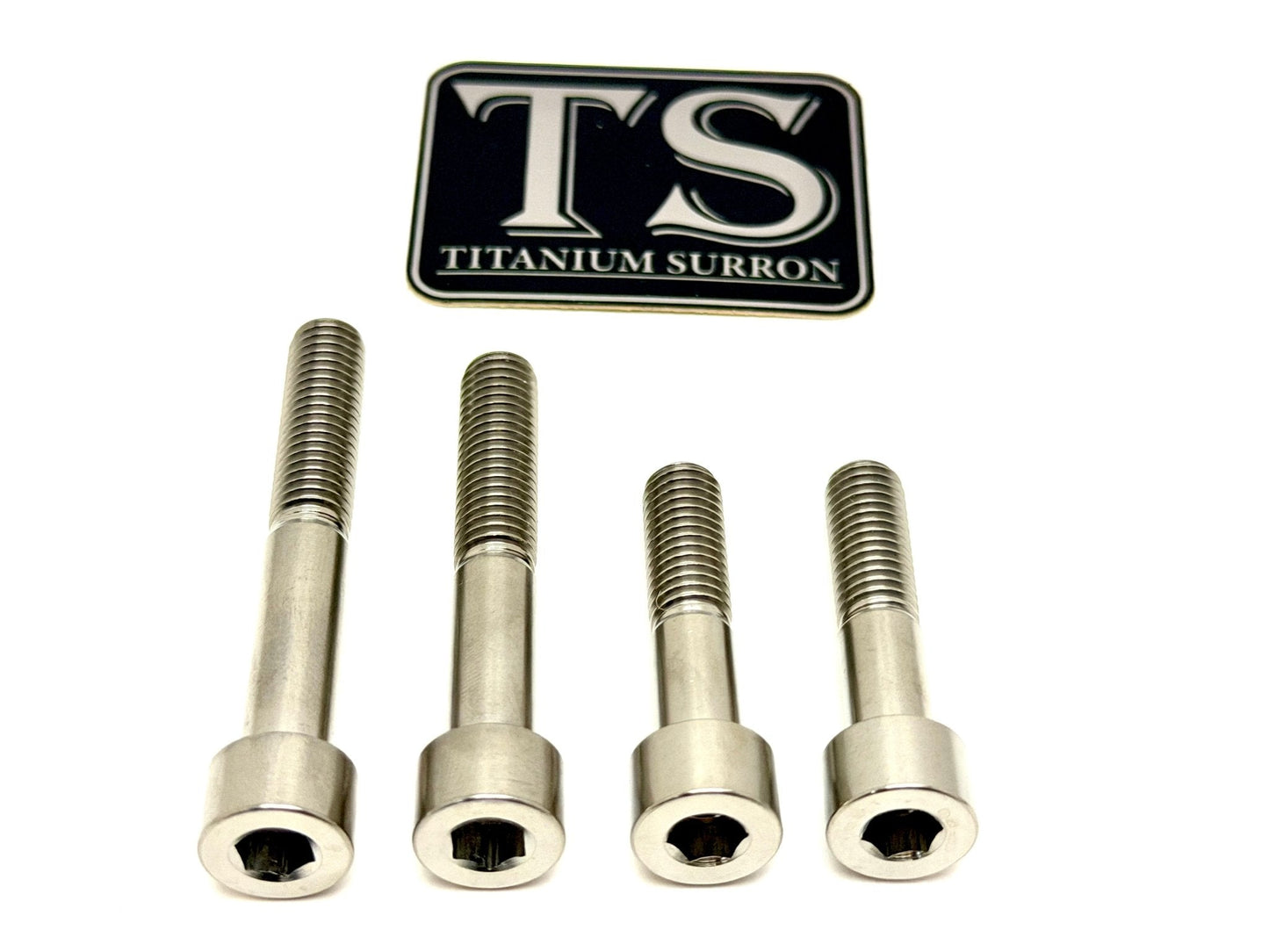 Titanium Motor Bolts - Surron Ultra Bee