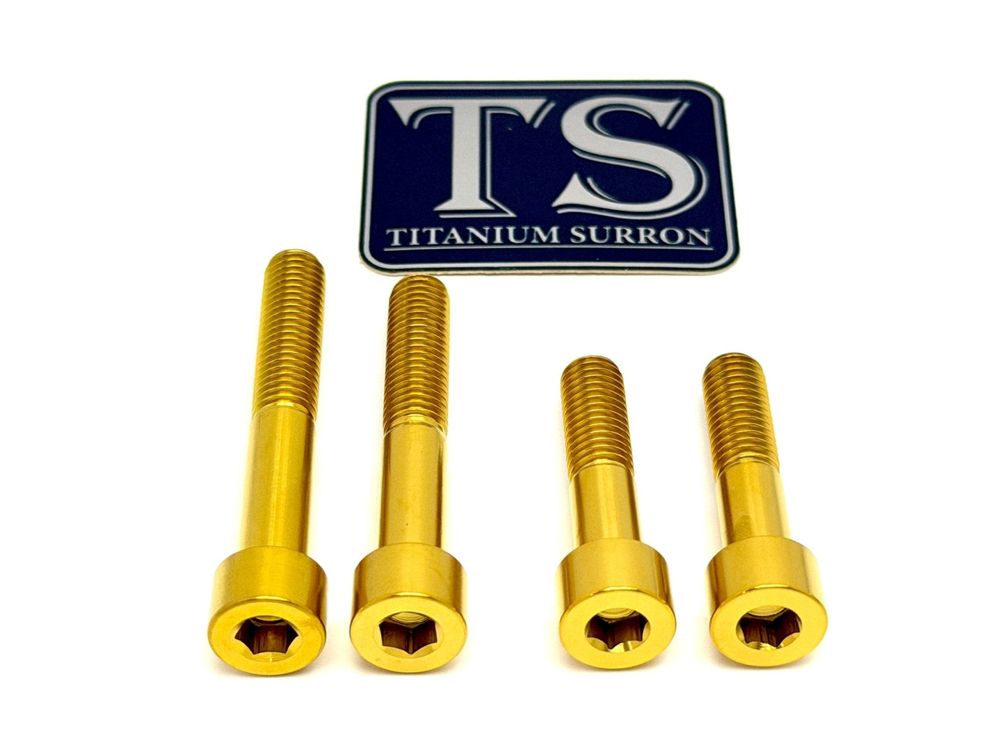 Titanium Motor Bolts - Surron Ultra Bee