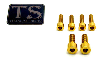 Titanium Stem/ Handlebar Mount Bolts - E-moto - Howling Moto