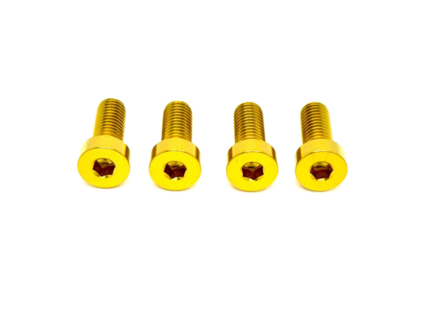 Titanium Seat/ Subframe Bolts for E-Ride Pro - Howling Moto