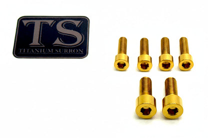 E-Ride Pro (all models) Titanium Stem Bolt Kit - Howling Moto