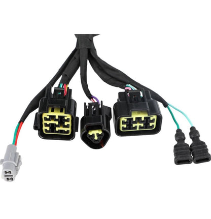 Surron LBX OEM Electrical Wiring Harness - Howling Moto