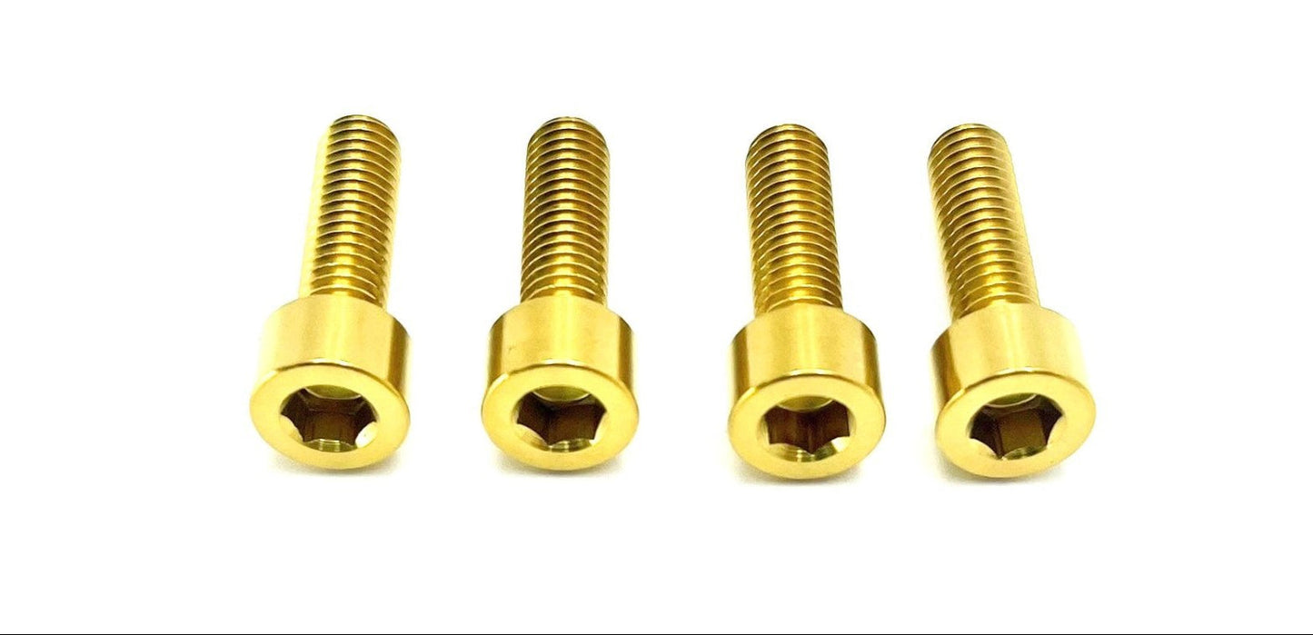 Titanium Axle Pinch Bolts for E-moto Forks - Howling Moto