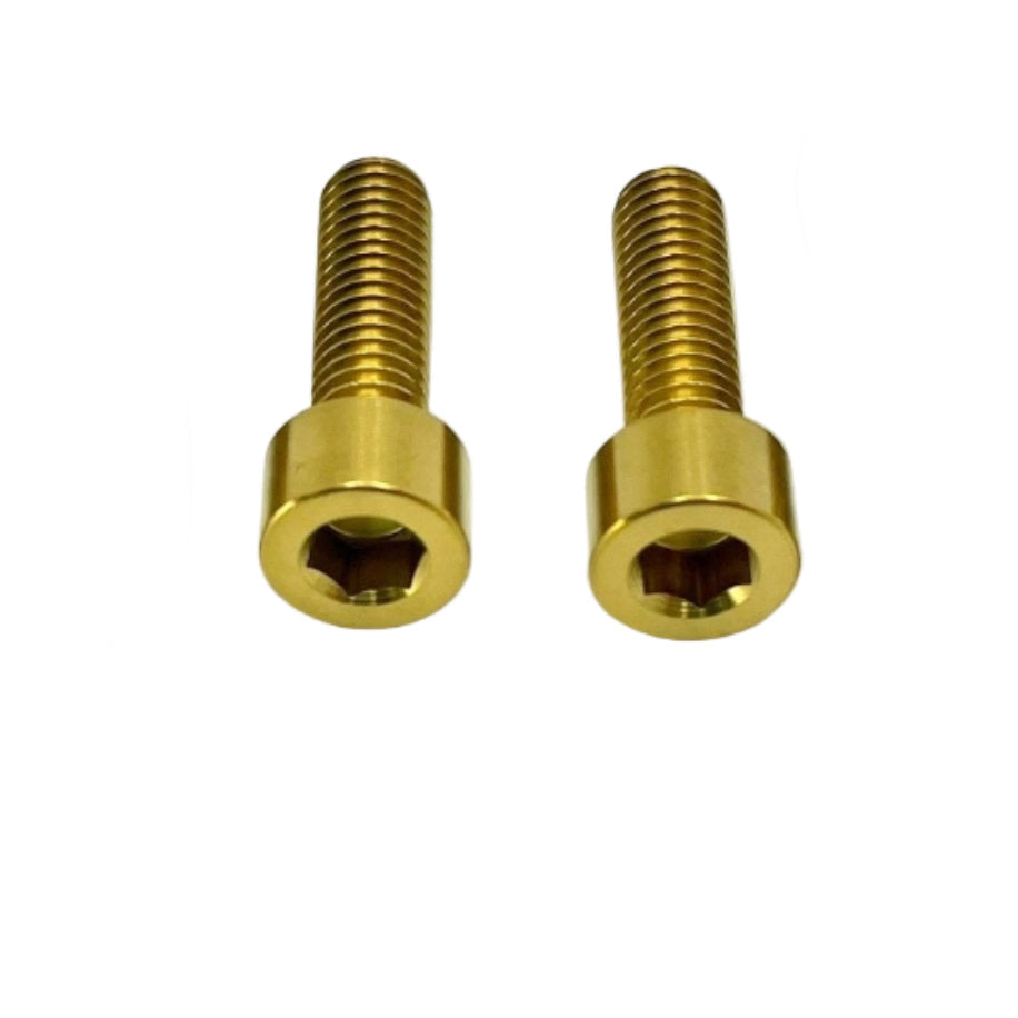Titanium Caliper Bolt Kit (20mm Bolts) - Howling Moto