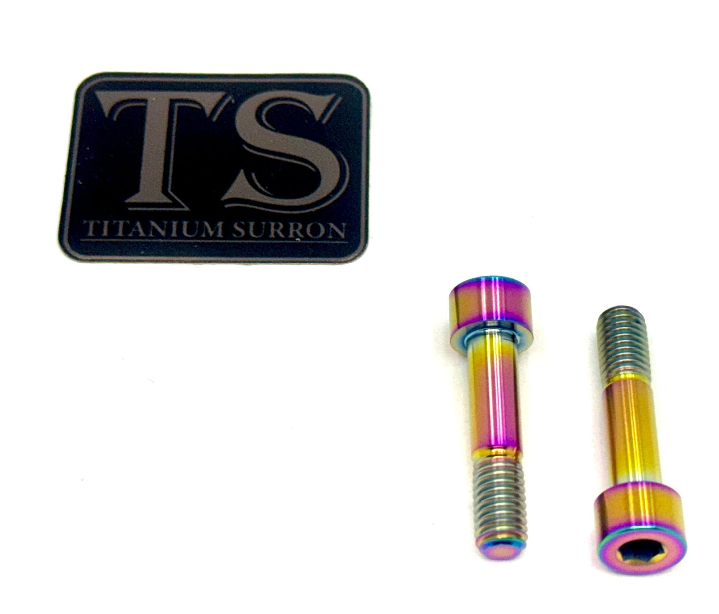 Titanium Triangle Bolts - Surron LBX/ Segway - Howling Moto