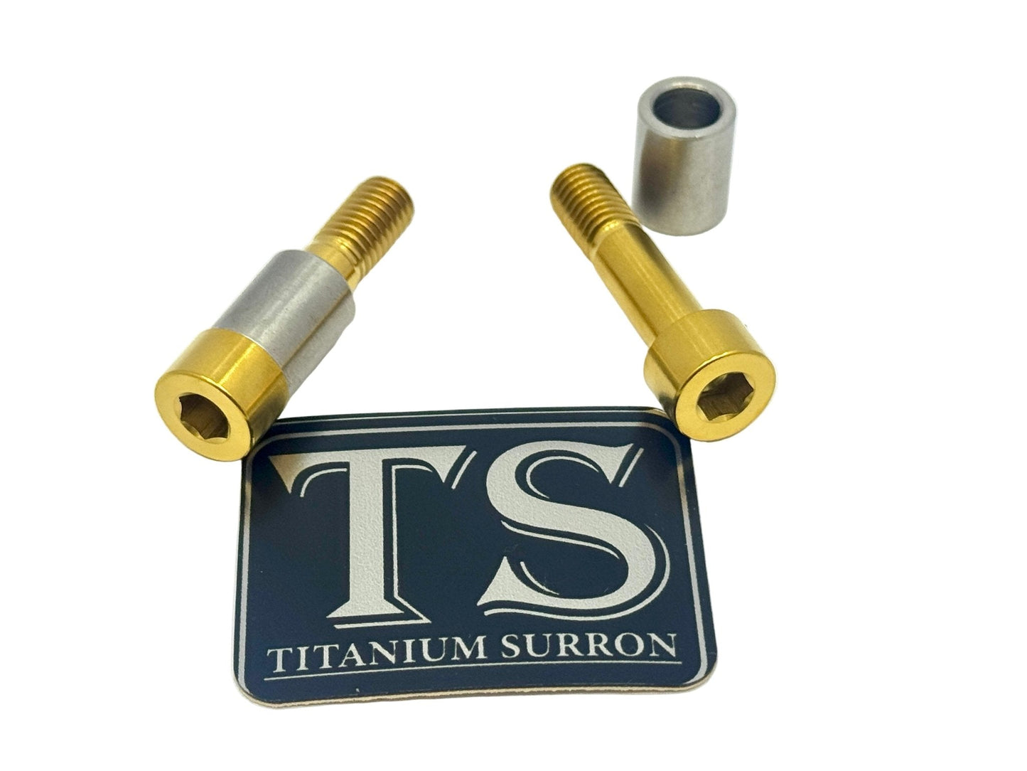 Titanium Triangle Bolts - Surron LBX/ Segway - Howling Moto