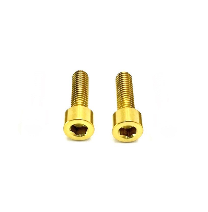 Titanium Triangle Bolts - Surron LBX/ Segway/ Ventus - Howling Moto