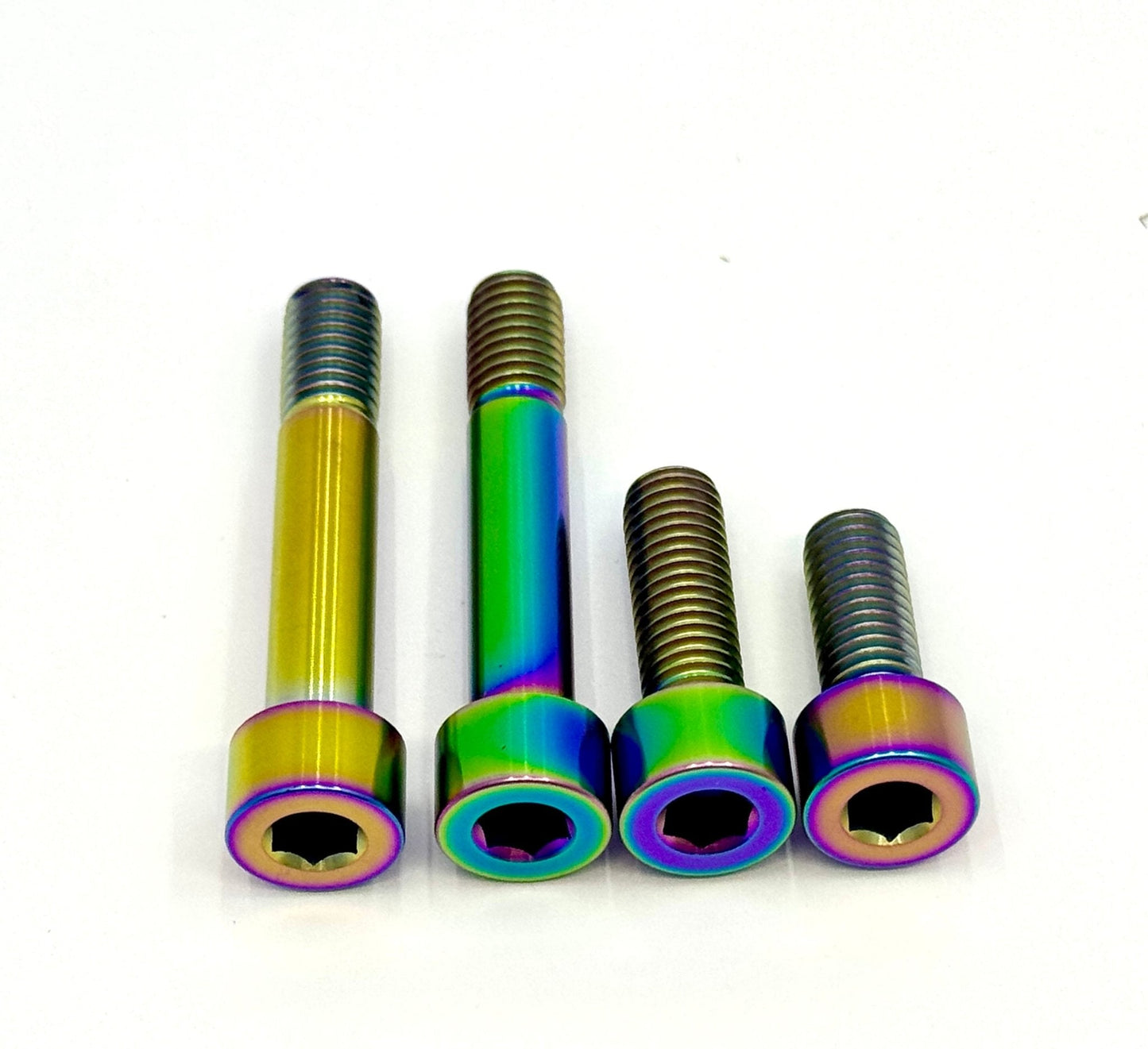 Titanium Motor Bolts - E-Ride Pro (all models) - Howling Moto