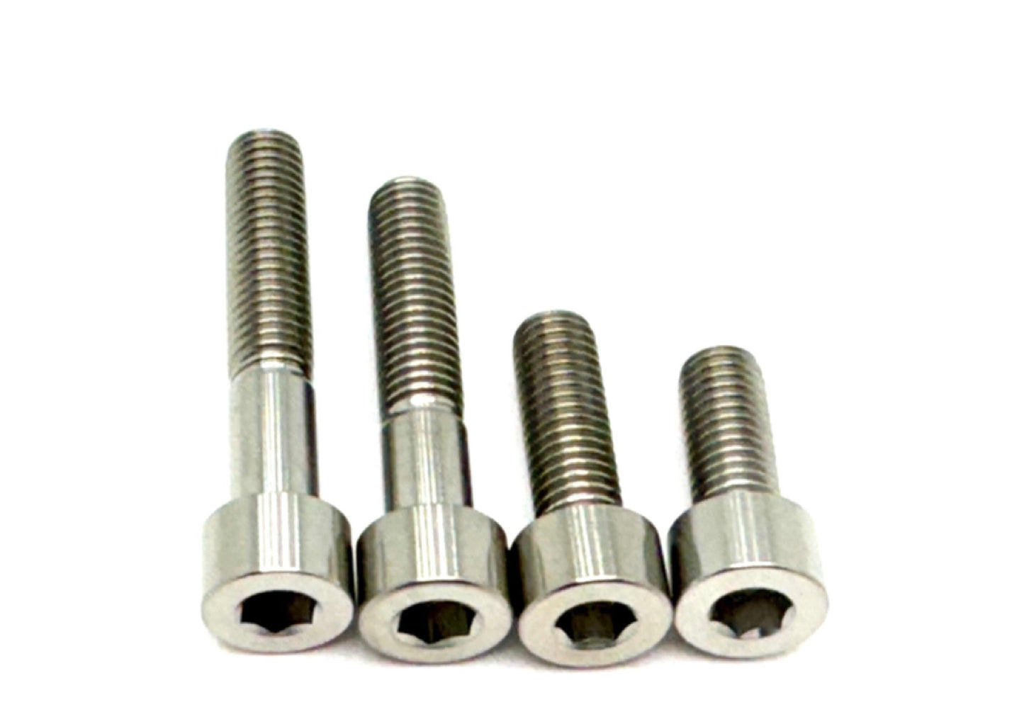 Titanium Motor Bolts - E-Ride Pro (all models) - Howling Moto