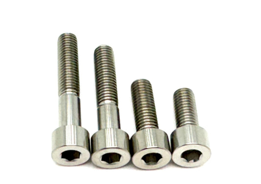 Titanium Motor Bolts - E-Ride Pro (all models) - Howling Moto