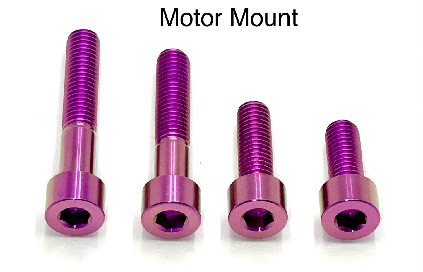Titanium Motor Bolts - E-Ride Pro (all models) - Howling Moto