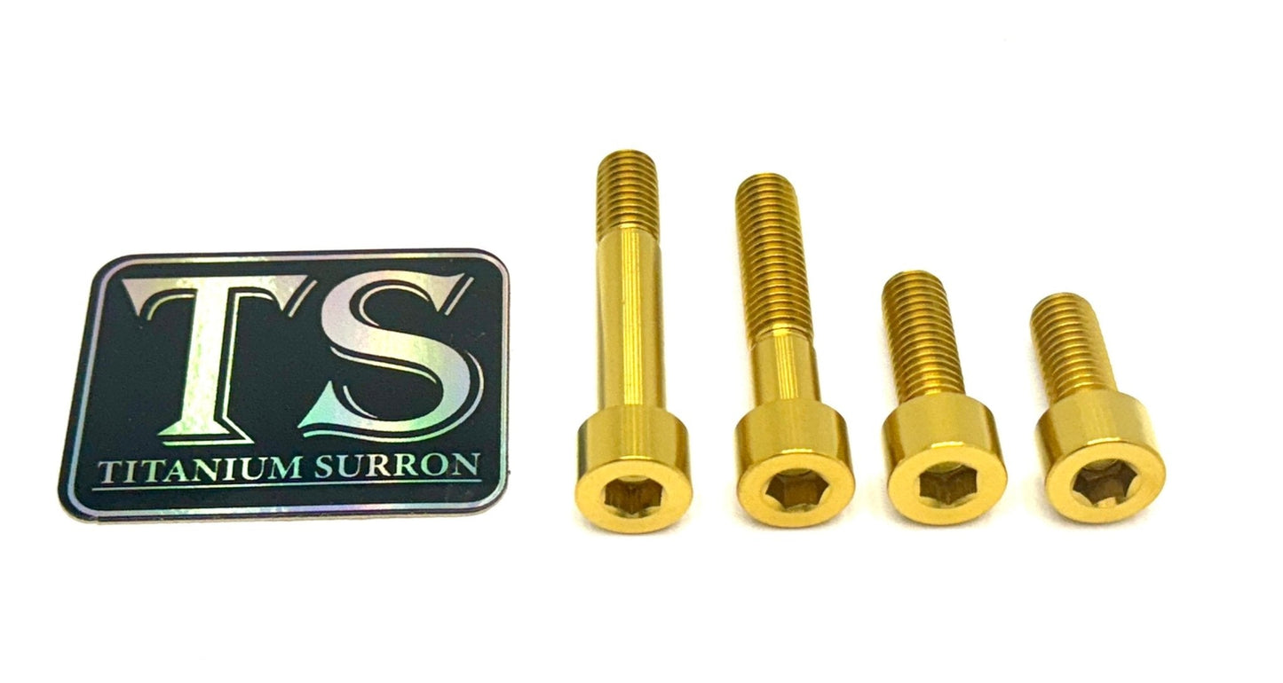 Titanium Motor Bolts - E-Ride Pro (all models) - Howling Moto