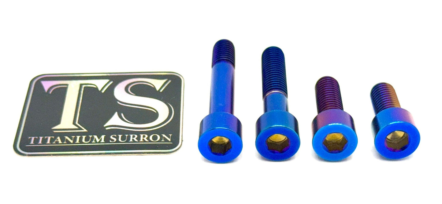 Titanium Motor Bolts - E-Ride Pro (all models) - Howling Moto