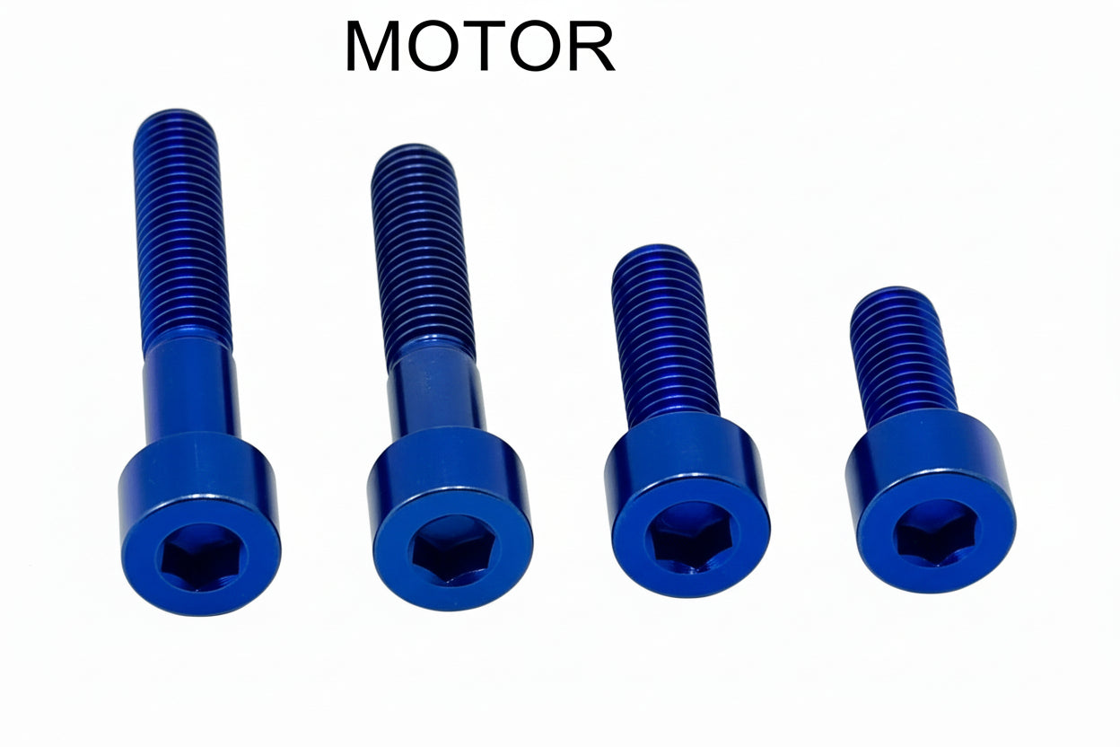 Titanium Motor Bolts - E-Ride Pro (all models) - Howling Moto