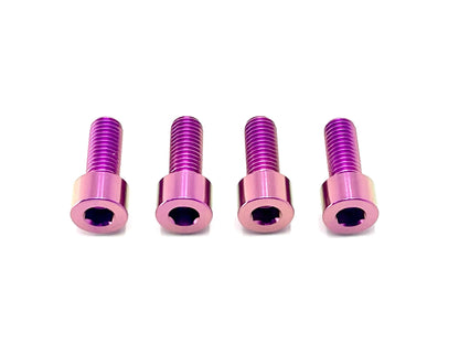 Titanium Bash Guard/ Skid Plate Bolts - Surron LBX and Segway (Set of 4) - Howling Moto