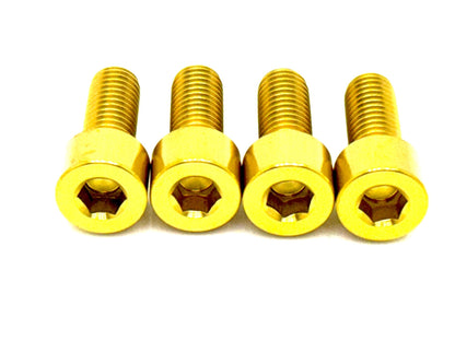 Titanium Bash Guard/ Skid Plate Bolts - Surron LBX and Segway (Set of 4) - Howling Moto