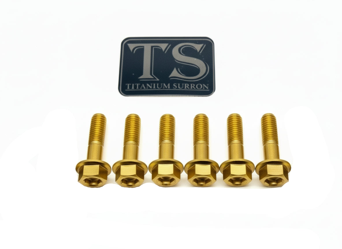 Six burnt blue titanium bolts from the Altis Sigma drivetrain cover titanium bolt kit by Titanium Surron, for Surron electric bikes.