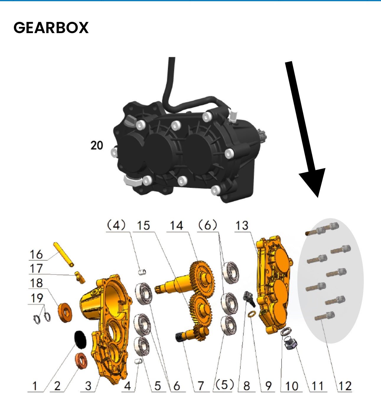 Talaria Sting MX3 MX4 MX5 Gearbox Titanium Bolt Kit - Howling Moto