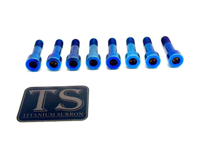 Talaria Sting MX3 MX4 MX5 Gearbox Titanium Bolt Kit - Howling Moto