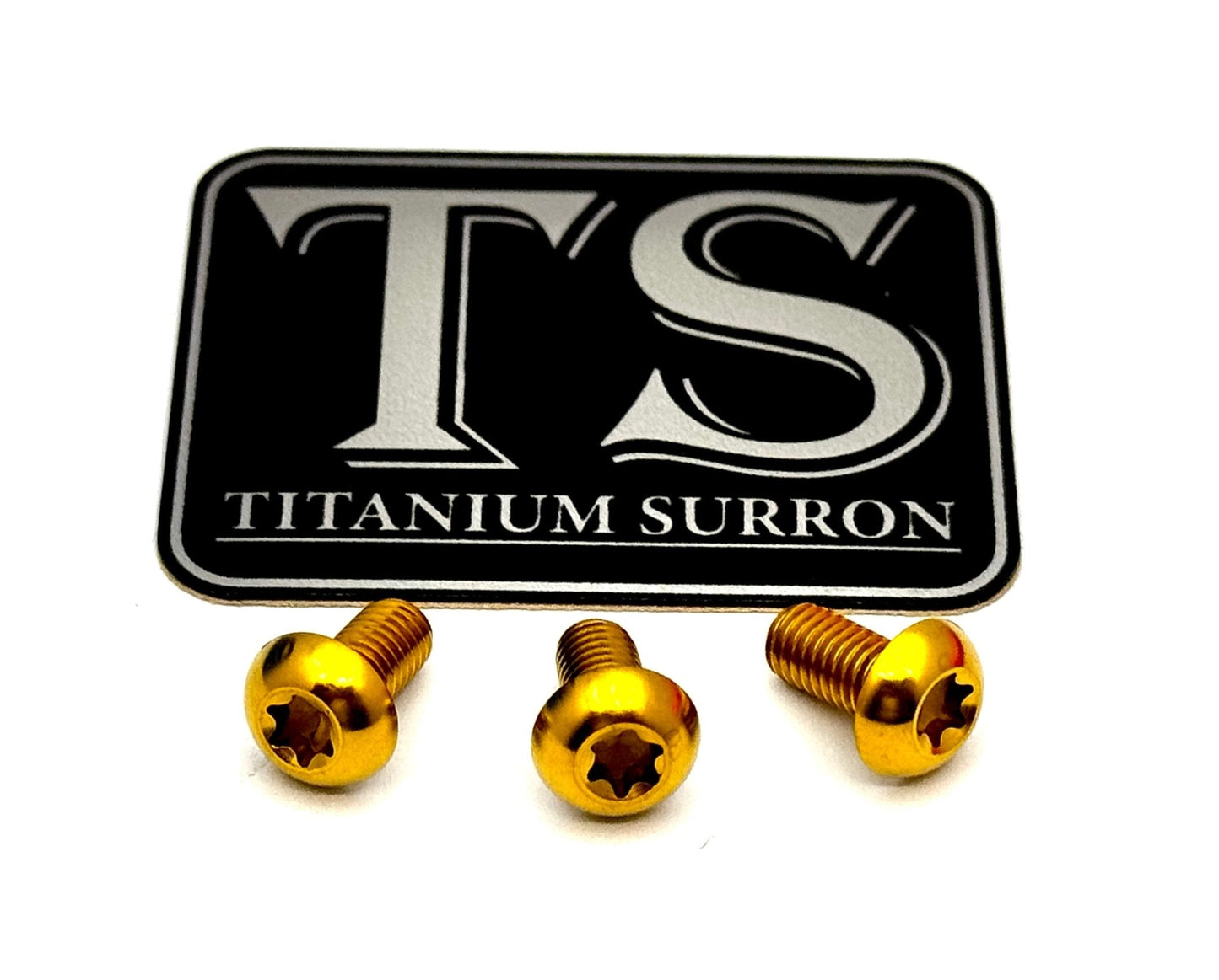 Titanium Ignition Cover Bolts Talaria MX3/MX4/XXX - Howling Moto