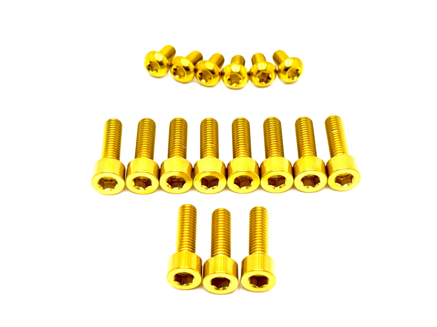 Titanium DNM/ KKE Fork Bolt Kits - Howling Moto