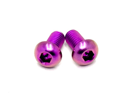 Titanium Ignition Cover Bolts (Set of Two) Surron, Segway, Similar E-moto - Howling Moto