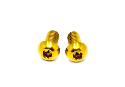 Titanium Ignition Cover Bolts (Set of Two) Surron, Segway, Similar E-moto - Howling Moto