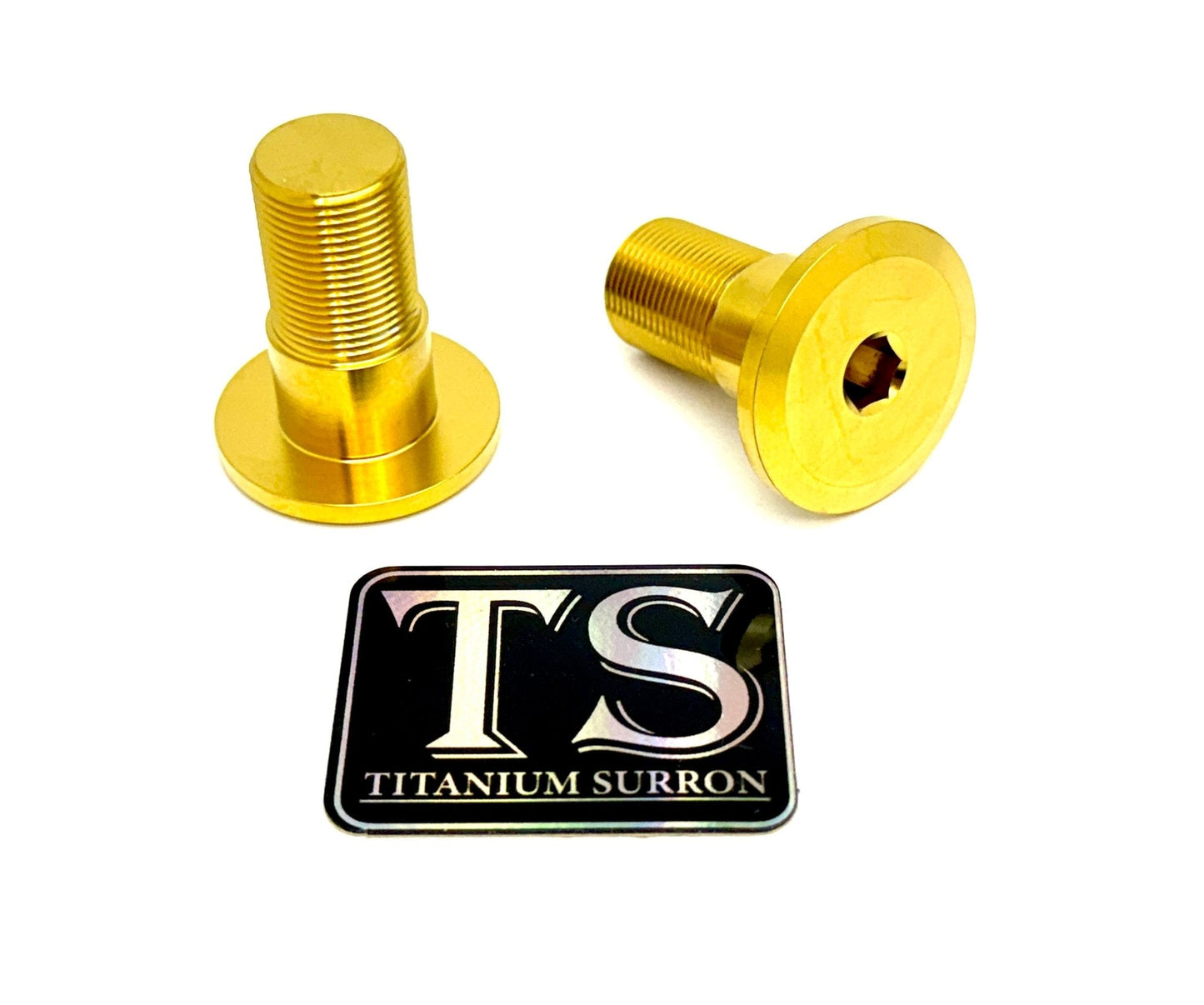 Titanium Talaria Sting Swingarm Bolts (set of two) - Howling Moto