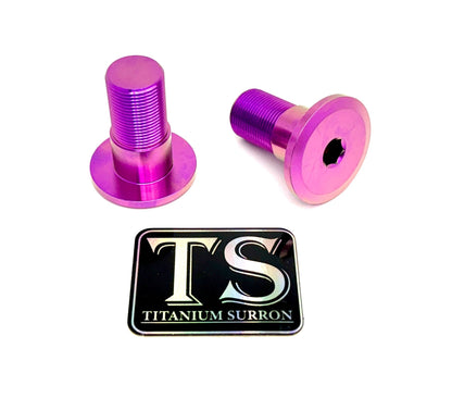 Titanium Talaria Sting Swingarm Bolts (set of two) - Howling Moto