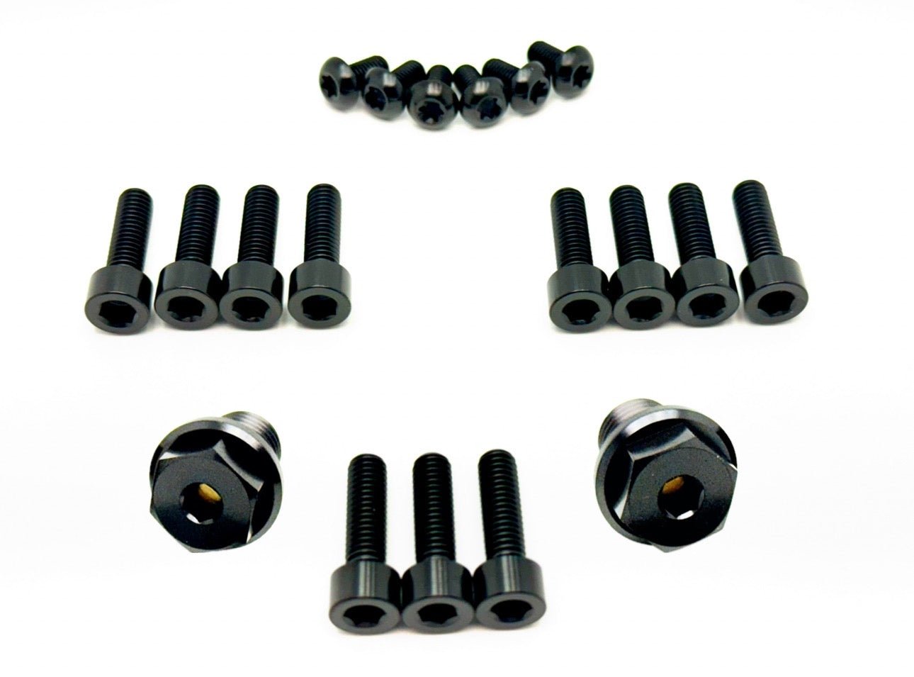 Titanium FastAce Fork Bolt Kits ALX13RC (2.0) and AHX12RV (3.0) - Howling Moto