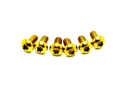 Titanium Front Rotor Screws - Howling Moto