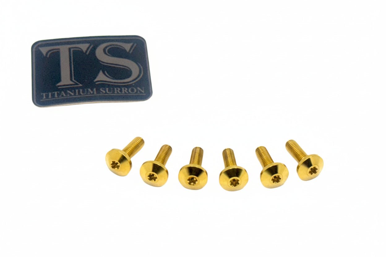 Titanium Front Rotor Bolts - E-Moto - Howling Moto