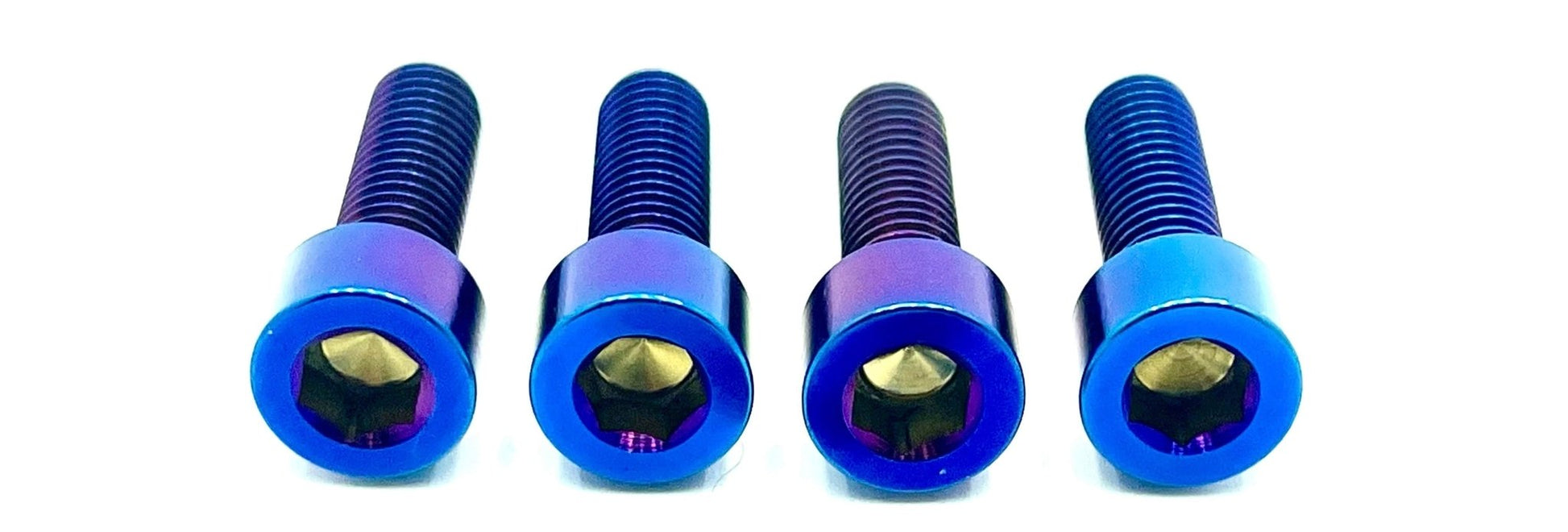 Ultra Bee Fork Titanium Axle Pinch Bolts - Howling Moto