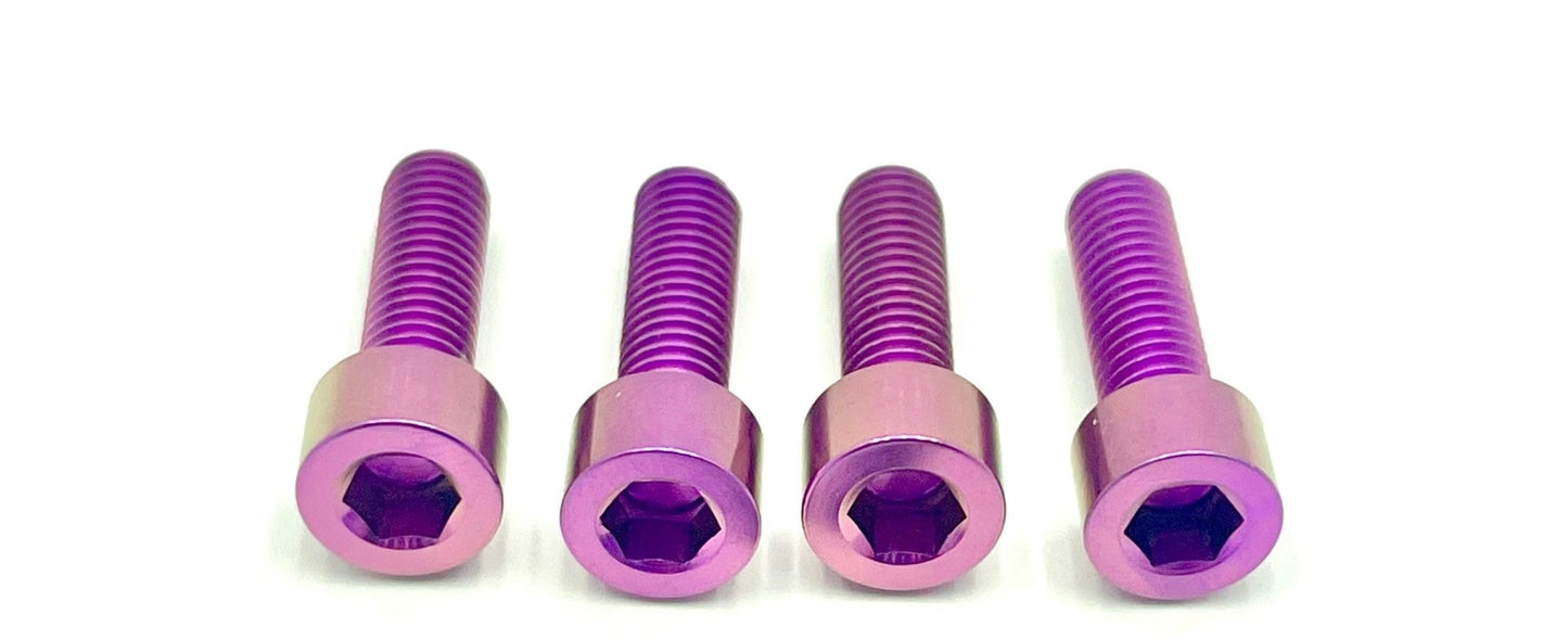Ultra Bee Fork Titanium Axle Pinch Bolts - Howling Moto