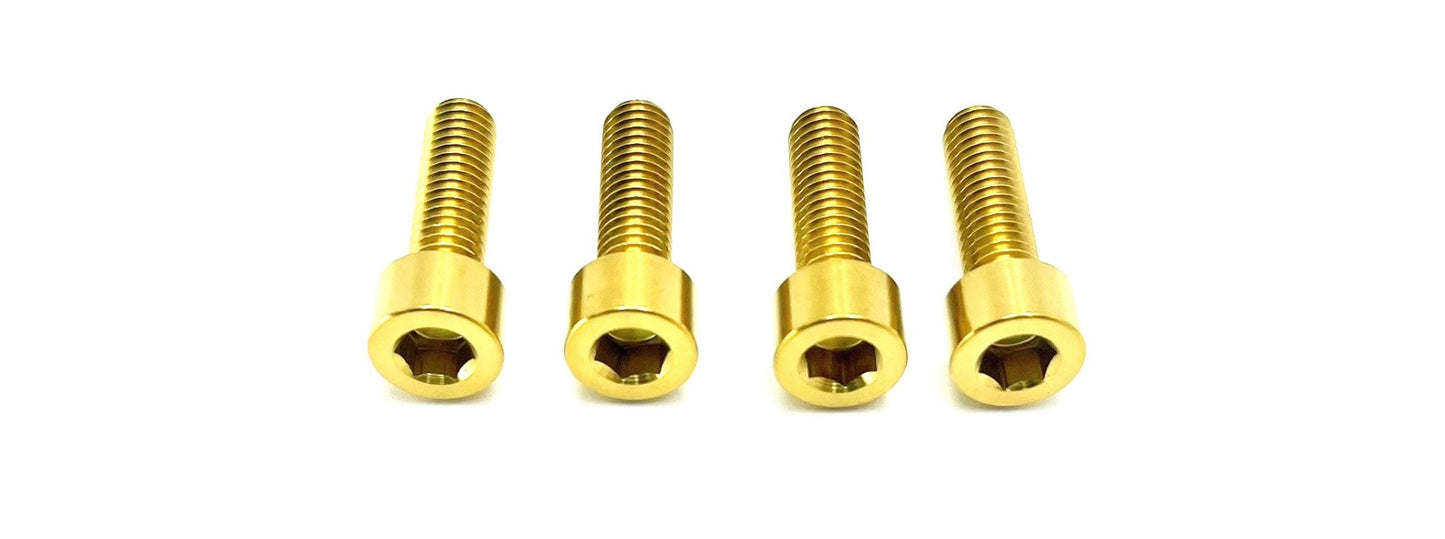 Ultra Bee Fork Titanium Axle Pinch Bolts - Howling Moto